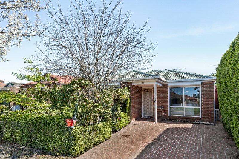 Photo - 19 Brayford Nook, Craigieburn VIC 3064 - Image 2