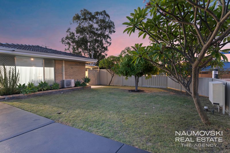 Photo - 19 Broughton Street, Balcatta WA 6021 - Image 2