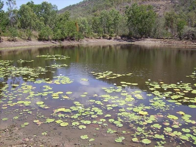 Photo - 19 Bruce Highway, Bambaroo QLD 4850 - Image 2