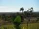 Photo - 19 Bruce Highway, Bambaroo QLD 4850 - Image 8