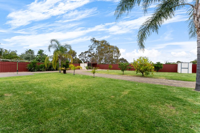 Photo - 19 Bubner Road, Angle Vale SA 5117 - Image 25