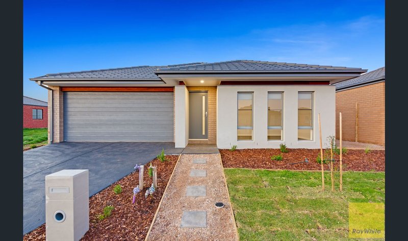 Photo - 19 Bukovo Street, Tarneit VIC 3029 - Image 2