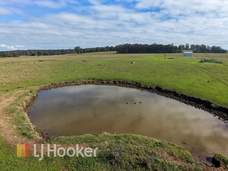 Photo - 19 Busby Road, Lower Belford NSW 2335 - Image 4