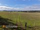 Photo - 19 Busby Road, Lower Belford NSW 2335 - Image 7