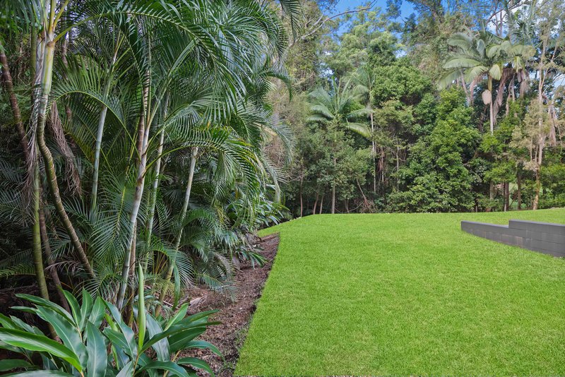 Photo - 19 Bushbird Court, Diddillibah QLD 4559 - Image 25