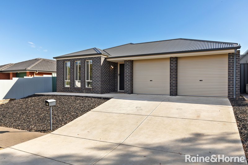 Photo - 19 Butler Street, Elizabeth Park SA 5113 - Image 3