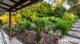 Photo - 19 Carramar Drive, Goonellabah NSW 2480 - Image 20