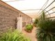 Photo - 19 Cavallo Drive, Mildura VIC 3500 - Image 6