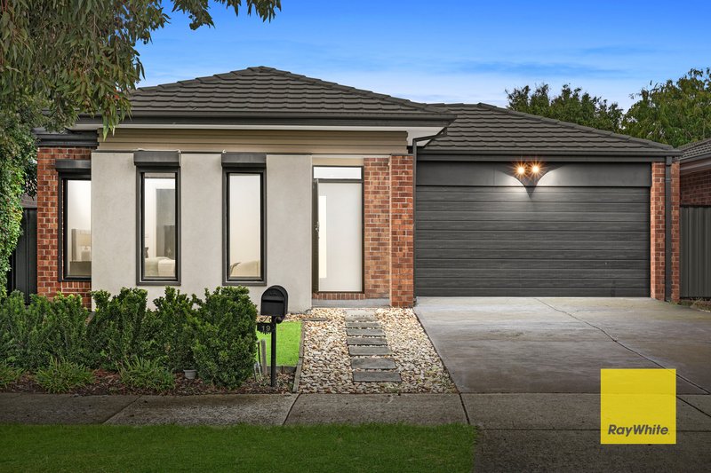 Photo - 19 Chicory Street, Mernda VIC 3754 - Image 1
