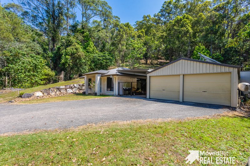 Photo - 19 Clancy Court, Diamond Valley QLD 4553 - Image 2