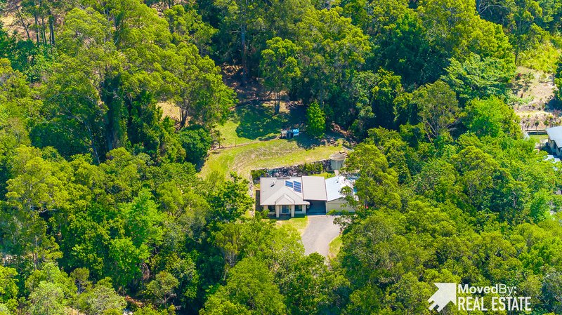 Photo - 19 Clancy Court, Diamond Valley QLD 4553 - Image 27