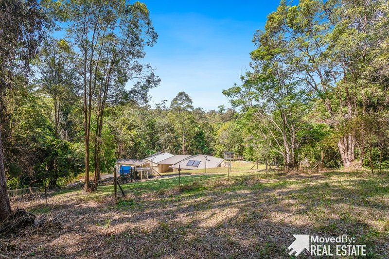 Photo - 19 Clancy Court, Diamond Valley QLD 4553 - Image 28