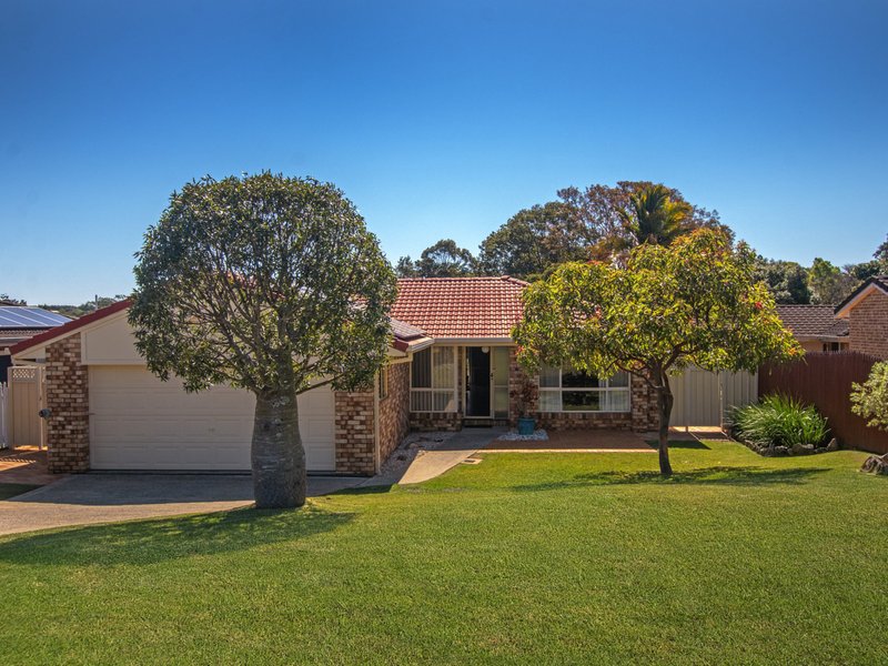 Photo - 19 Clare Street, Alstonville NSW 2477 - Image 1