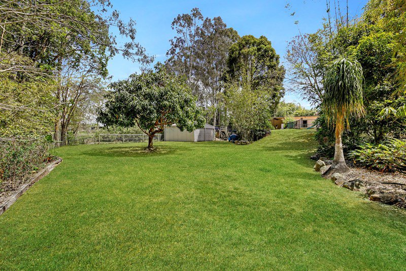 Photo - 19 Clivia Crescent, Daisy Hill QLD 4127 - Image 8