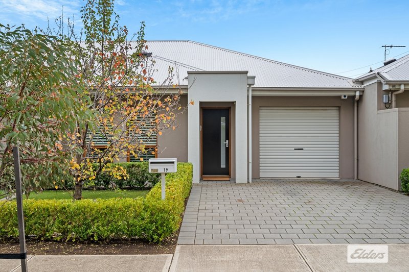 19 Conigrave Street, Oaklands Park SA 5046