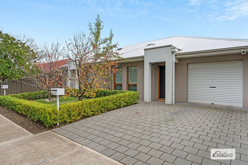 Photo - 19 Conigrave Street, Oaklands Park SA 5046 - Image 2