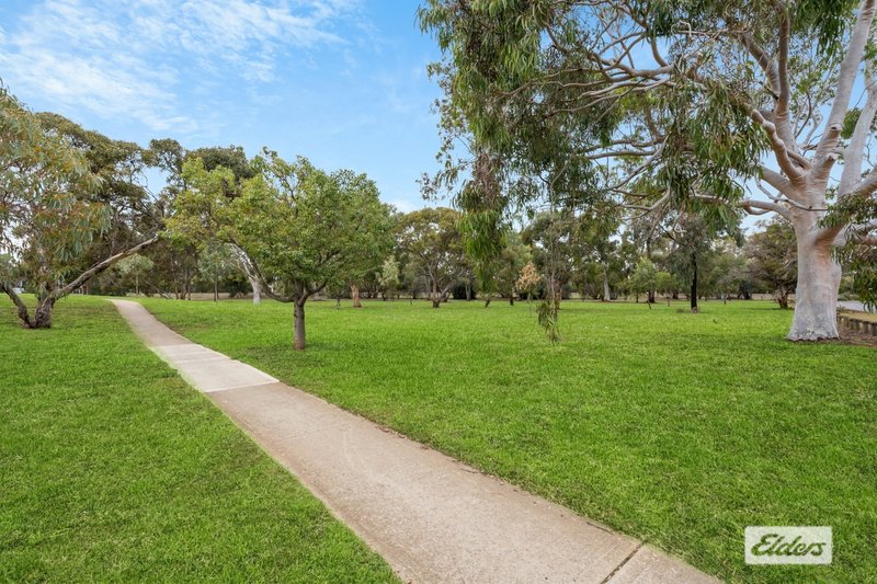 Photo - 19 Conigrave Street, Oaklands Park SA 5046 - Image 17