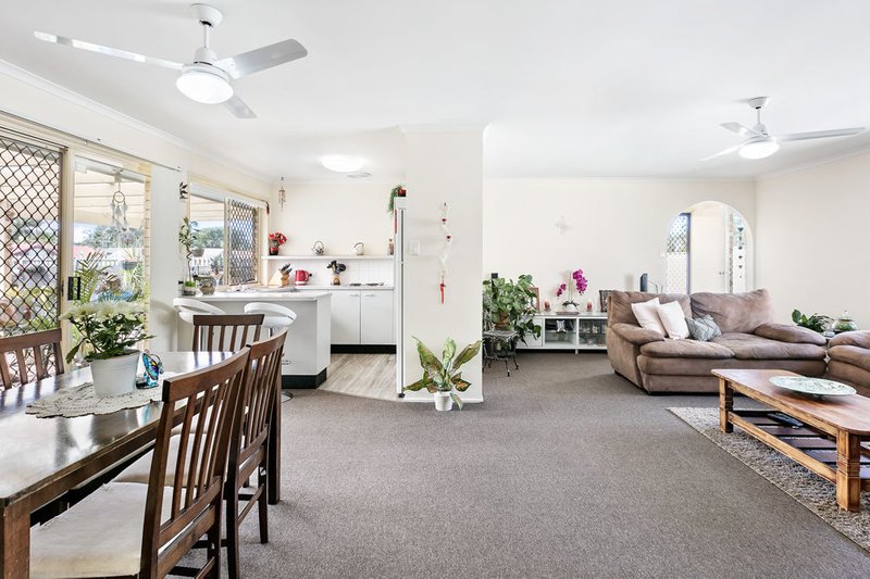 Photo - 19 Cordia Street, Currimundi QLD 4551 - Image 4