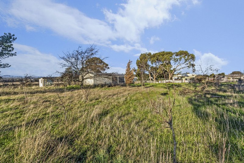 Photo - 19 Cox Street, Nile TAS 7212 - Image 13