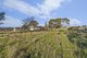 Photo - 19 Cox Street, Nile TAS 7212 - Image 13