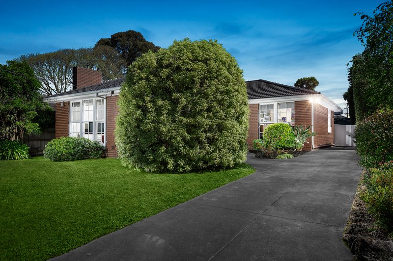 19 Dunfield Avenue, Mitcham VIC 3132