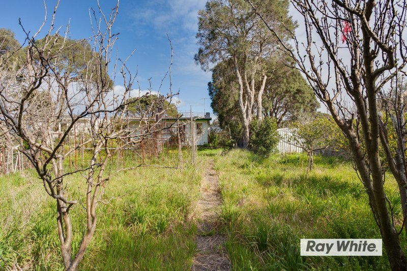 Photo - 19 Dunham Street, Rye VIC 3941 - Image 4