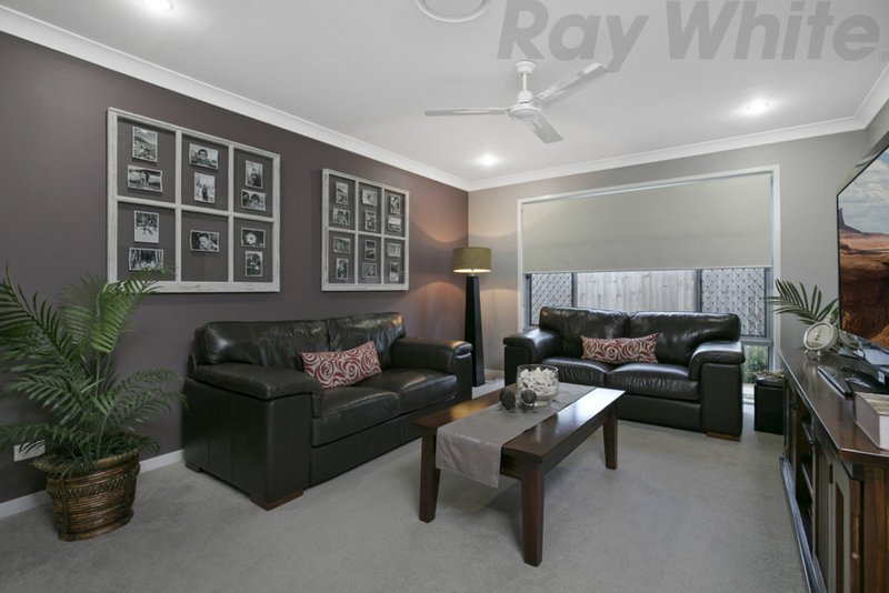 Photo - 19 East Ridge Street, Thornlands QLD 4164 - Image 5