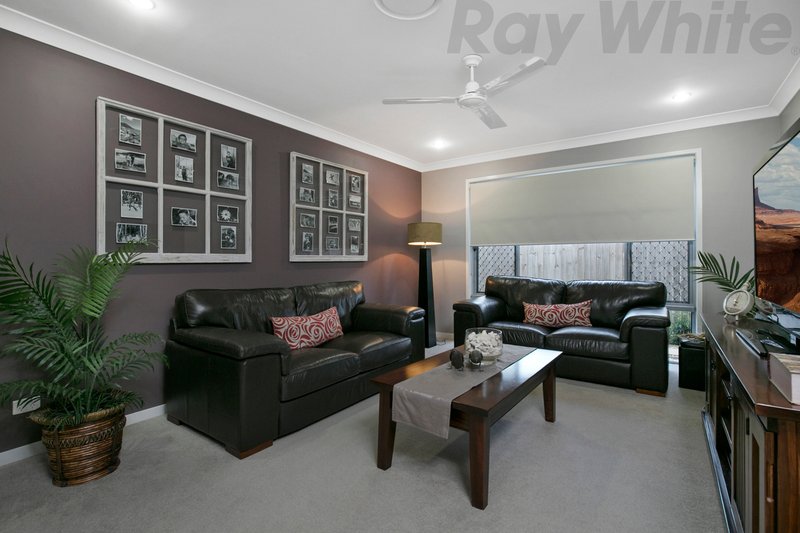 Photo - 19 East Ridge Street, Thornlands QLD 4164 - Image 5