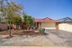 Photo - 19 Elly Drive, Munno Para West SA 5115 - Image 1