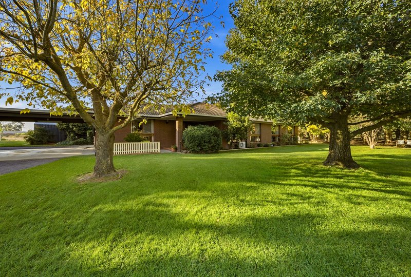 Photo - 19 Ferguson Road, Tatura VIC 3616 - Image 1