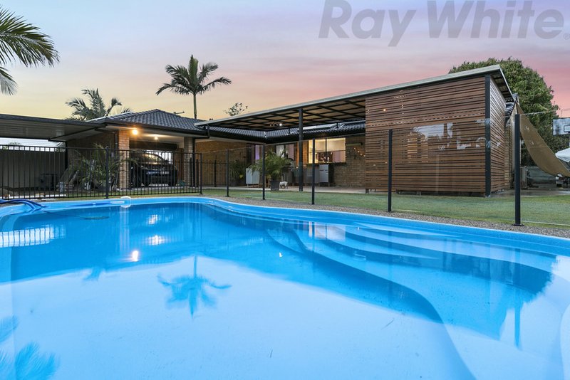 Photo - 19 Ferndown Street, Alexandra Hills QLD 4161 - Image 2