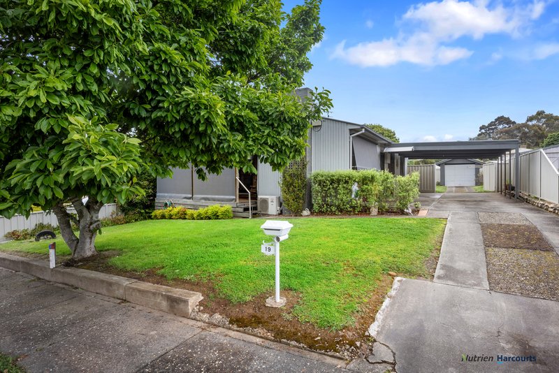 Photo - 19 Fifth Street, Eildon VIC 3713 - Image 2