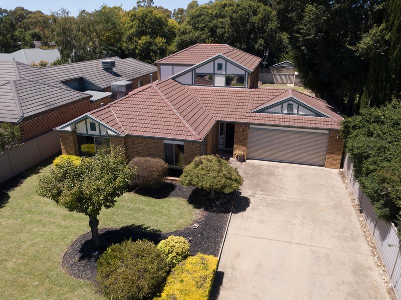 Photo - 19 Flanagan Drive, Tatura VIC 3616 - Image 24