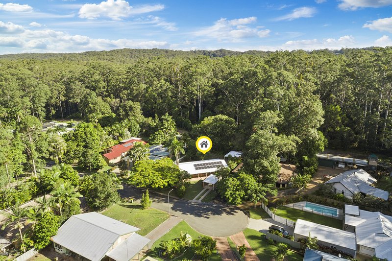 Photo - 19 Forest Court, Tewantin QLD 4565 - Image 16