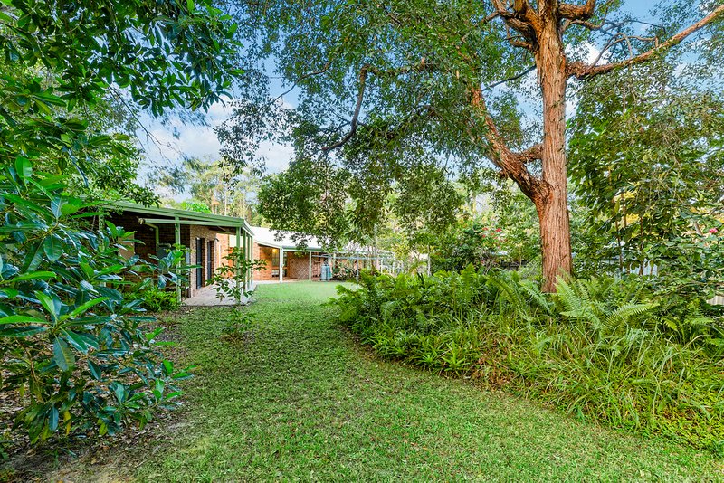 Photo - 19 Forest Court, Tewantin QLD 4565 - Image 26