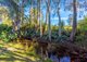 Photo - 19 George Street, Old Bar NSW 2430 - Image 10