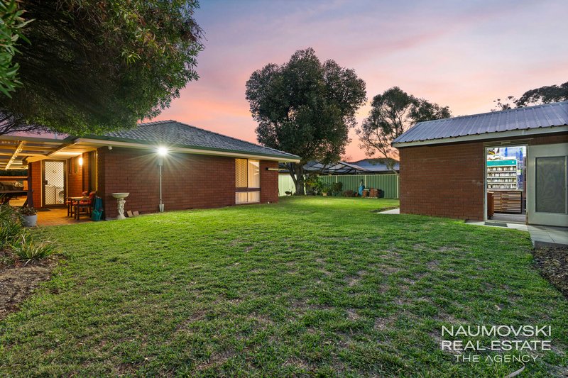 Photo - 19 Glenwood Way, Balcatta WA 6021 - Image 4