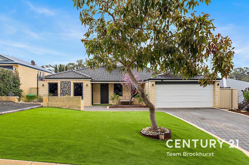 Photo - 19 Goodison Close, Baldivis WA 6171 - Image 6