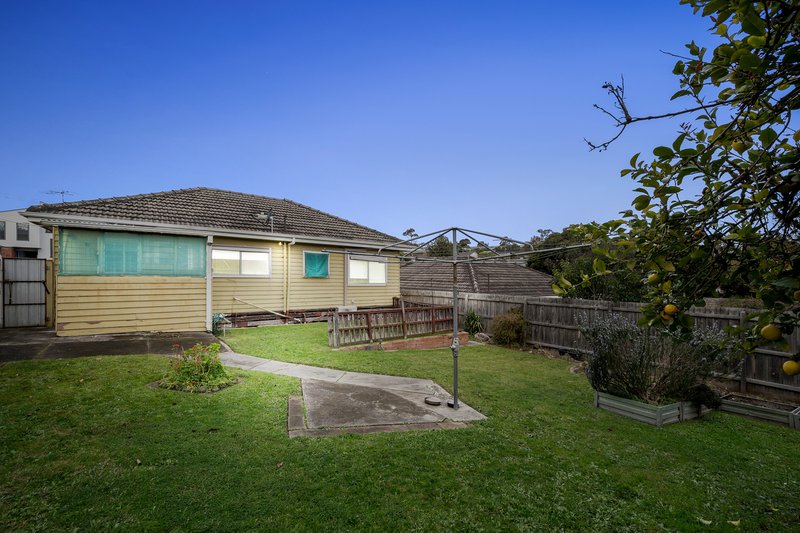 Photo - 19 Gracehill Avenue, Burwood VIC 3125 - Image 11