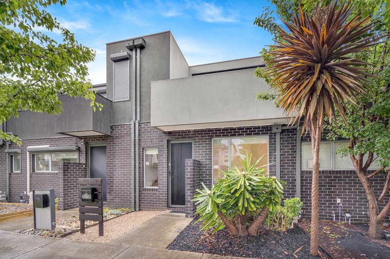 Photo - 19 Grattan Cove, Craigieburn VIC 3064 - Image 2