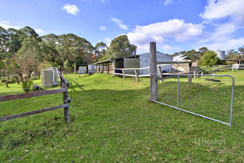 Photo - 19 Gully Road, Nowa Nowa VIC 3887 - Image 16