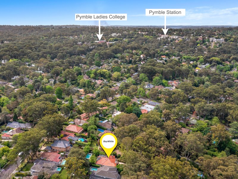 Photo - 19 Hamilton Parade, Pymble NSW 2073 - Image 13