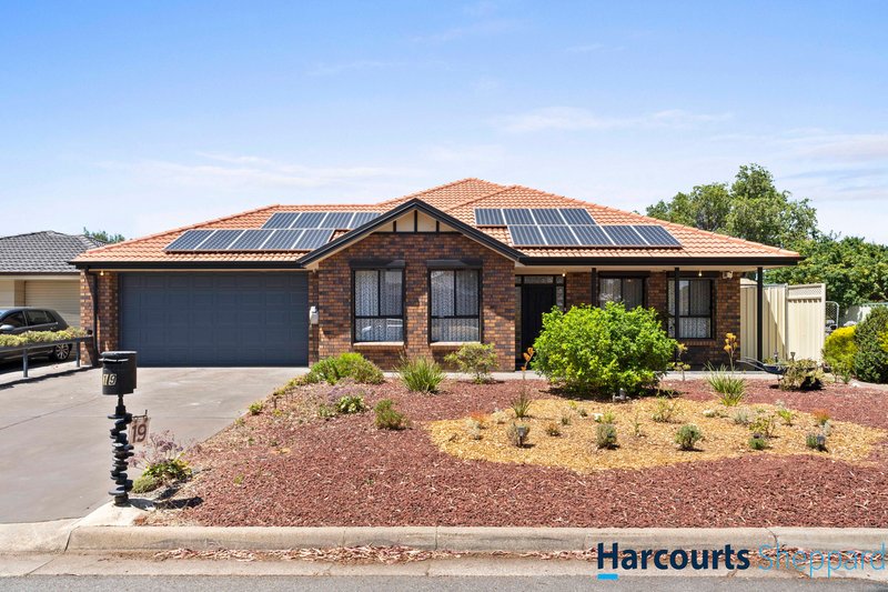 19 Harris Place, Seaton SA 5023