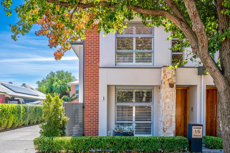 Photo - 1/9 Harrow Avenue, Magill SA 5072 - Image 1