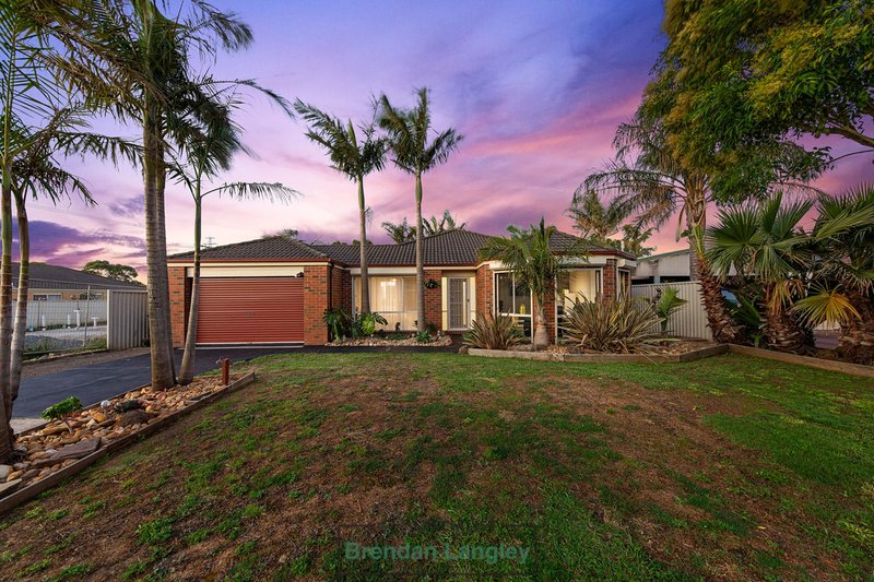 Photo - 19 Hazelmere Avenue, Cranbourne West VIC 3977 - Image 2