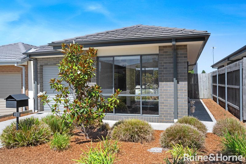 Photo - 19 Hugh Gilchrist Street, Casey ACT 2913 - Image 1