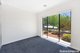 Photo - 19 Hugh Gilchrist Street, Casey ACT 2913 - Image 12