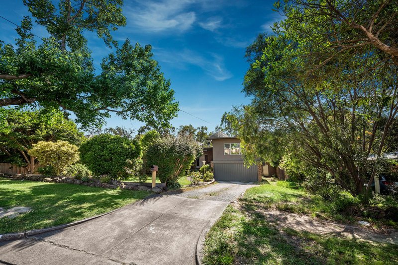 Photo - 19 Ireland Street, Ringwood VIC 3134 - Image 3