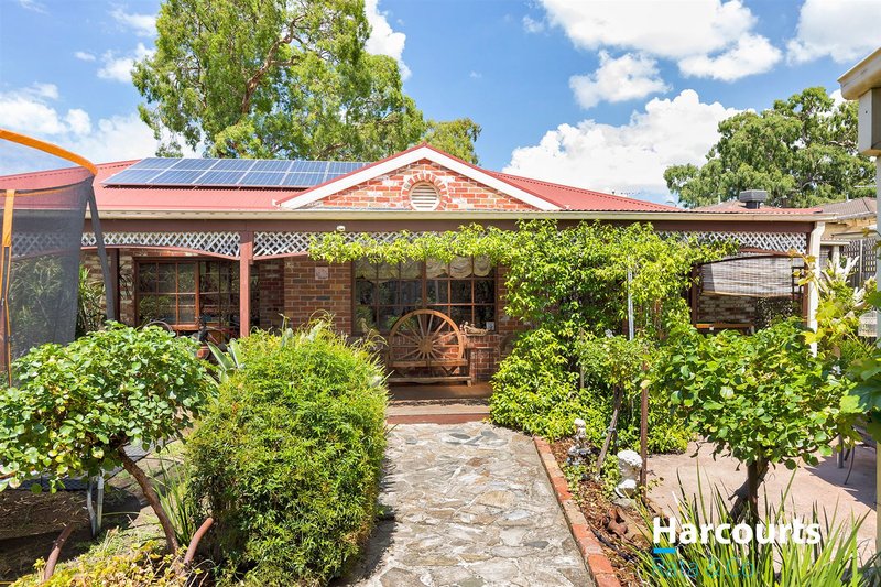 19 Island Place, Mill Park VIC 3082