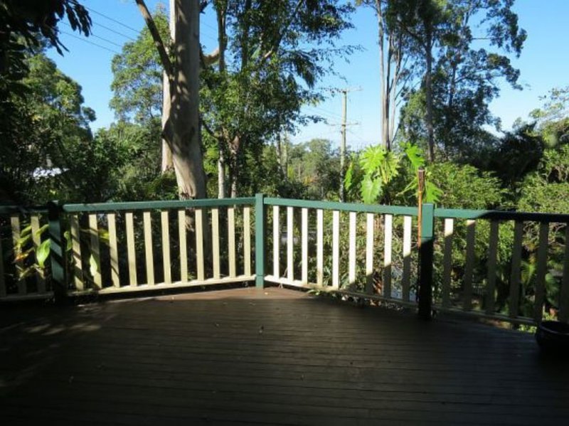 Photo - 19 Janderra Street, Buderim QLD 4556 - Image 4